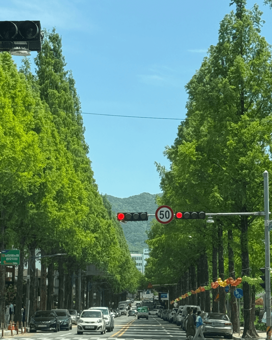 올데이 취향 페스타